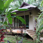 orel-v-khao-soke-palm-garden-resort-10