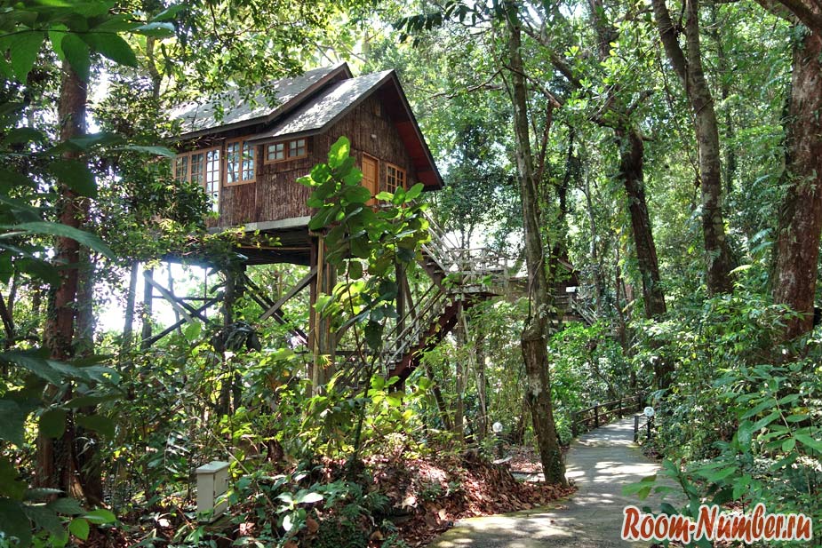 Домики в лесу с природным бассейном. Permai Rainforest Resort