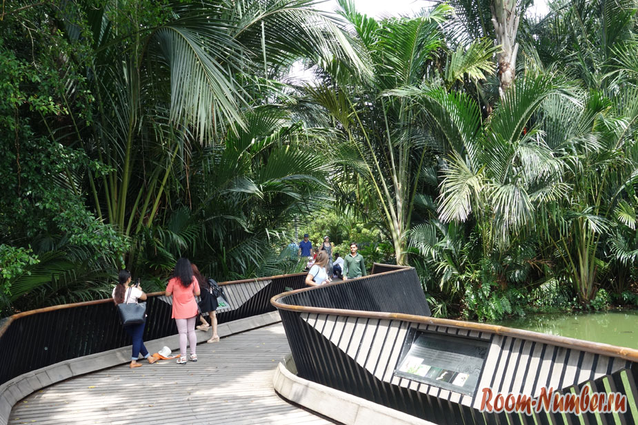 мост через пруд в ботаническом парке Singapore Botanic Garden