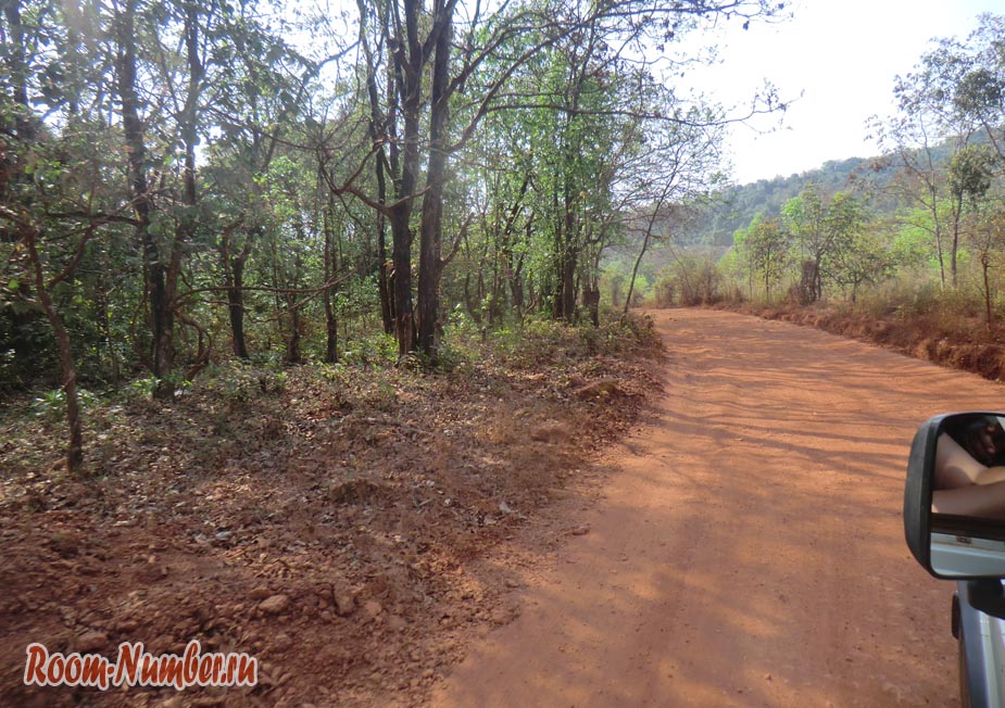 Водопад Дудхсагар в Гоа и пыльная дорога через джунгли