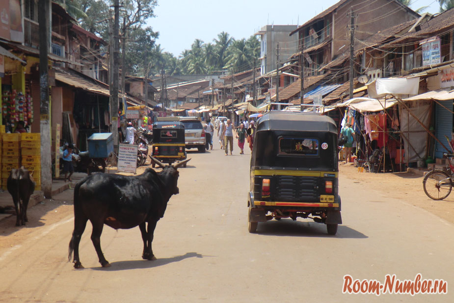 Корова на улице в Индии