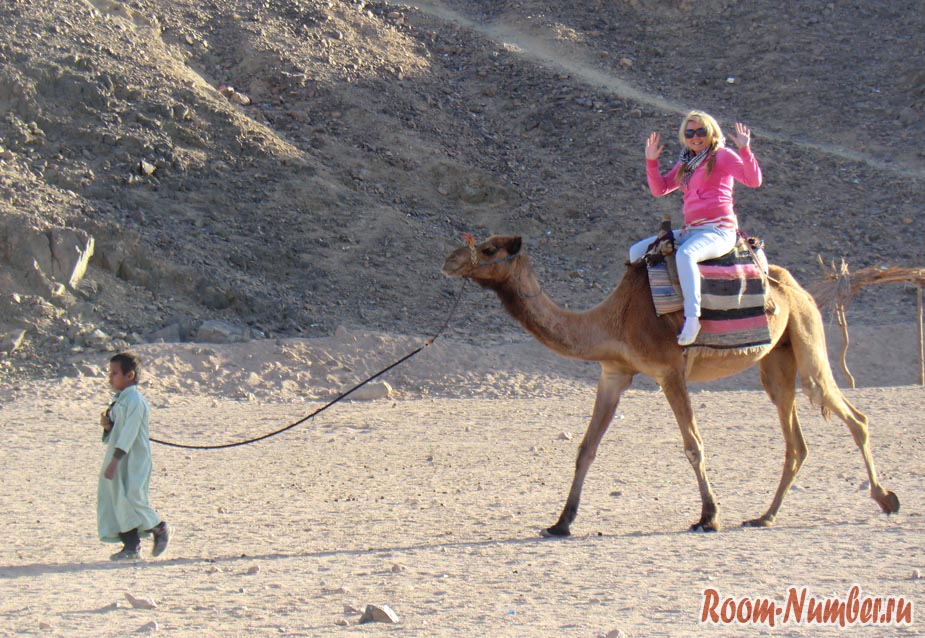 Катя на верблюде в Египте