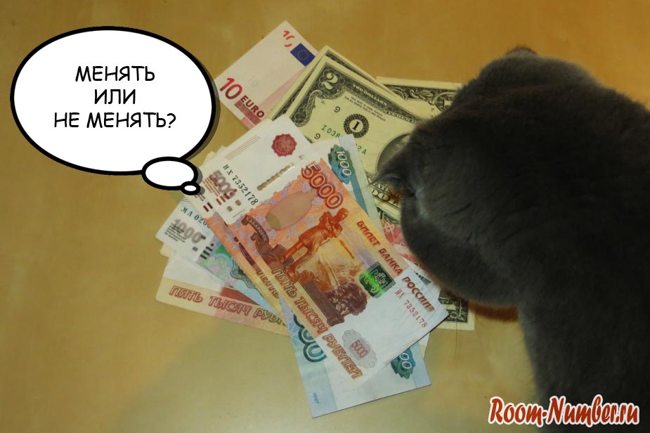 Менять ли рубли на доллары