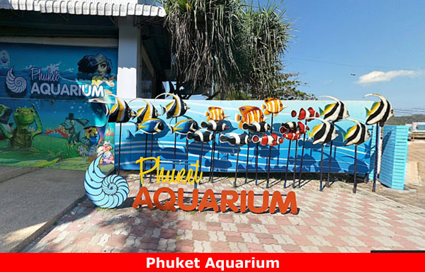 Пхукет Аквариум (Phuket Aquarium) – посмотреть на рыбок с детьми