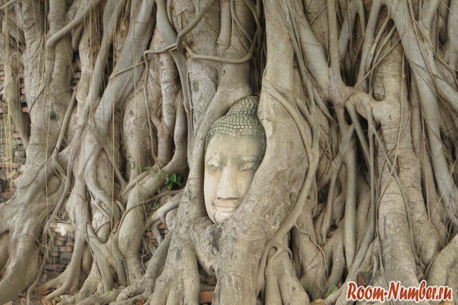 голова будды в Аюттайе, вросшая в дерево находится в храме Ват Махатхат