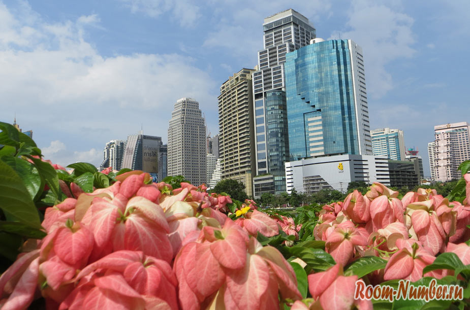 Парк Benjakitti в Бангкоке. Панорамный вид на небоскребы