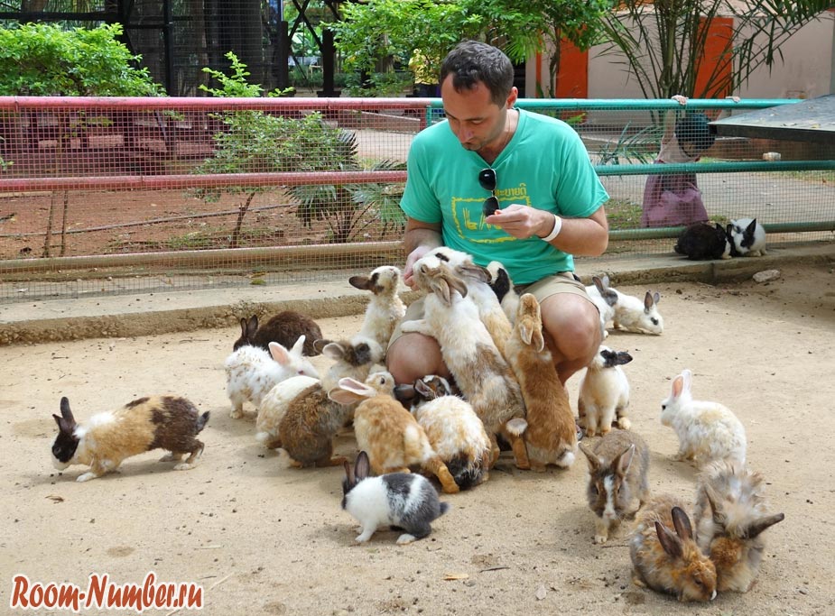 Зоопарк в Мелаке (Melaka Zoo) и кормление кроликов. Это место не оставит вас равнодушным