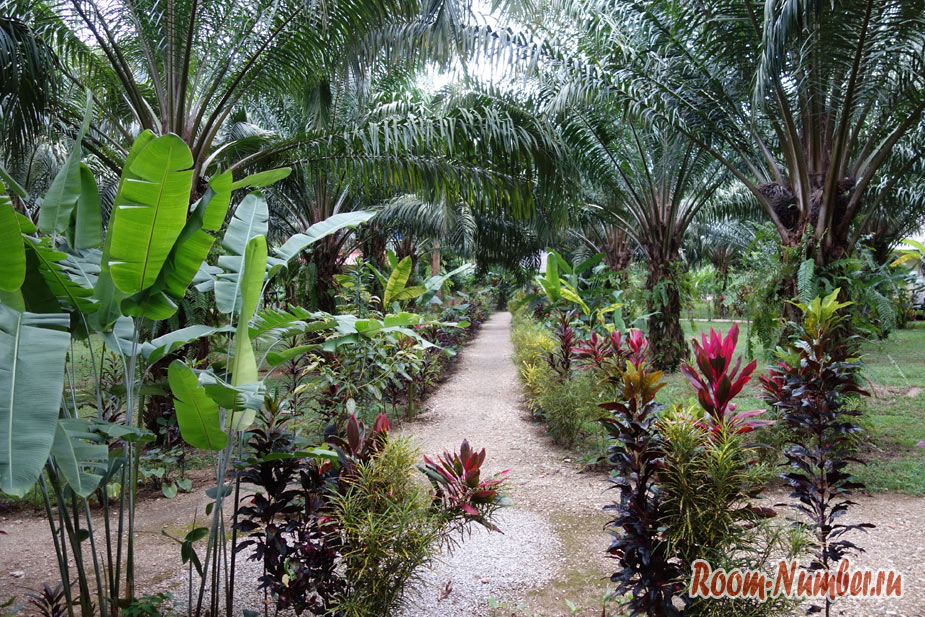 orel-v-khao-soke-palm-garden-resort-6