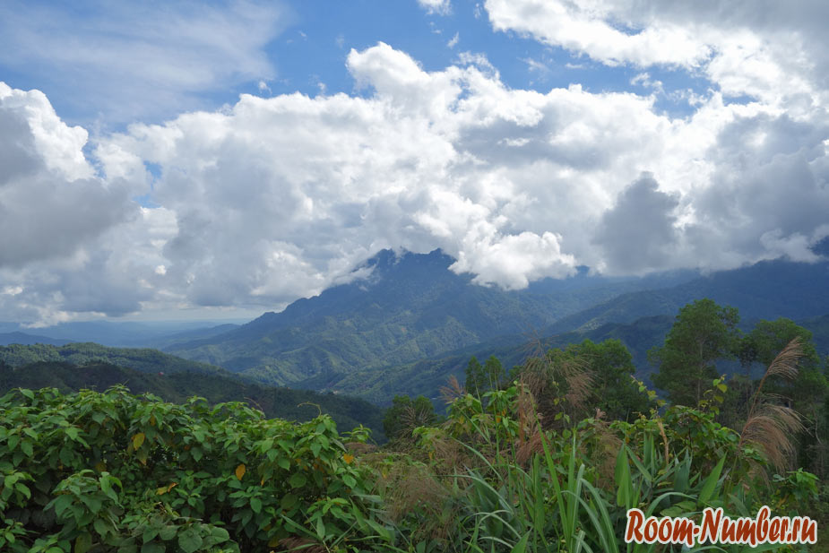 Национальный парк Кинабалу на Борнео. Горы, дождевые леса и раффлезия