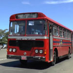 bus-bentota-150