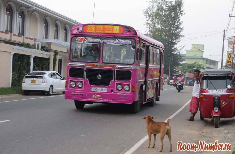 аэропорт Тангалле на автобусе или на такси