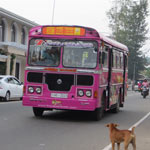 tangalle-bus1