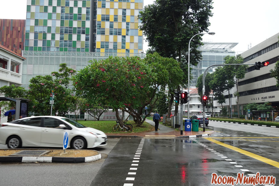 пешеходный переход и светофор в сингапуре