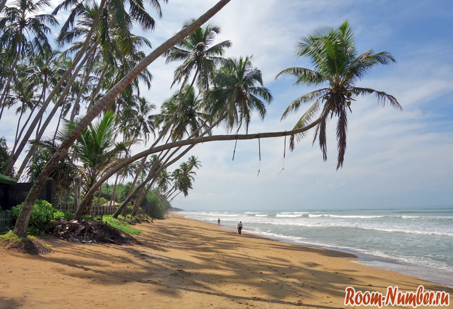 Ваддува, Шри Ланка. Дикий пальмовый пляж
