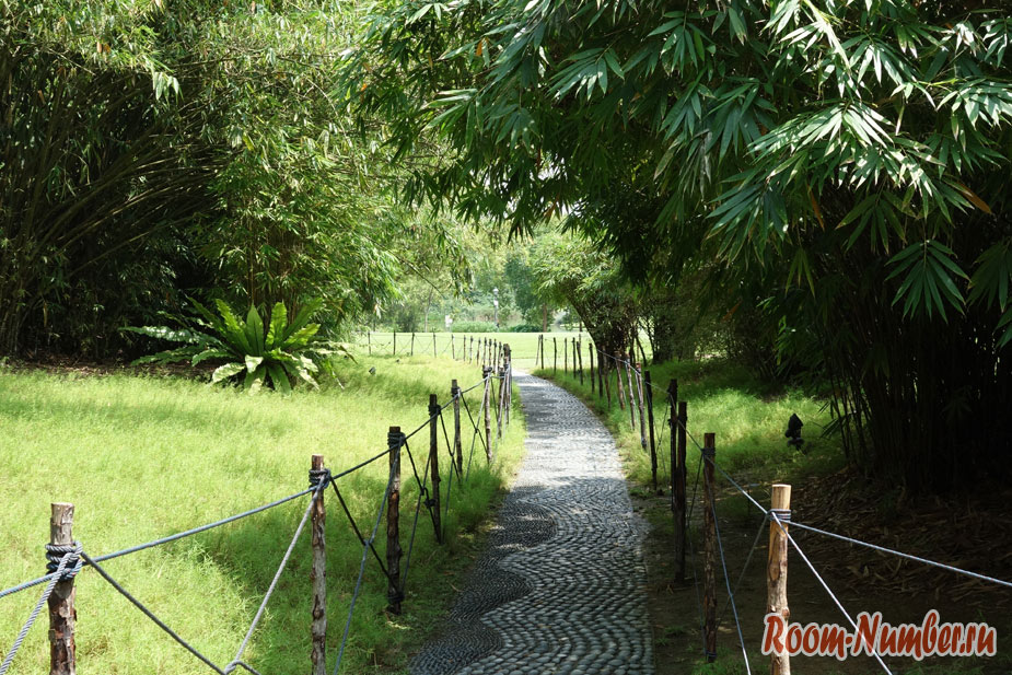 Тропинка в ботаническом парке сингапура с ограждением, чтобы не топтали траву
