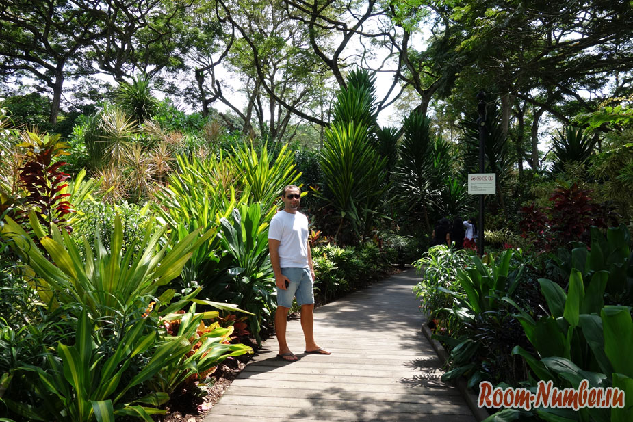 Тематический ботанический сад с тропическими деревьями