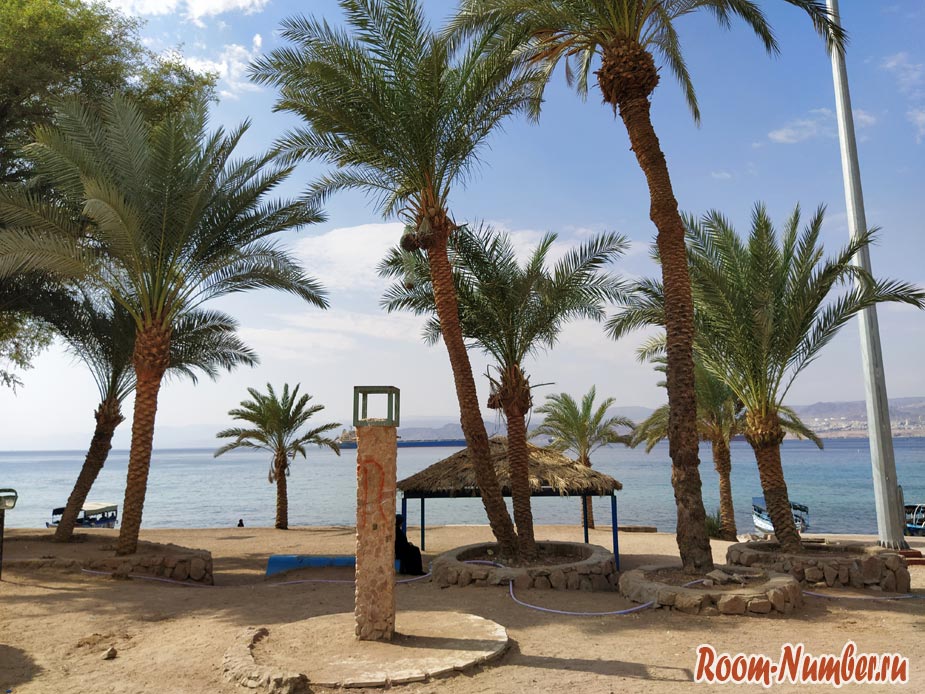Отдых в Акабе 2019. Отзывы по Иордании и свежие фото курорта