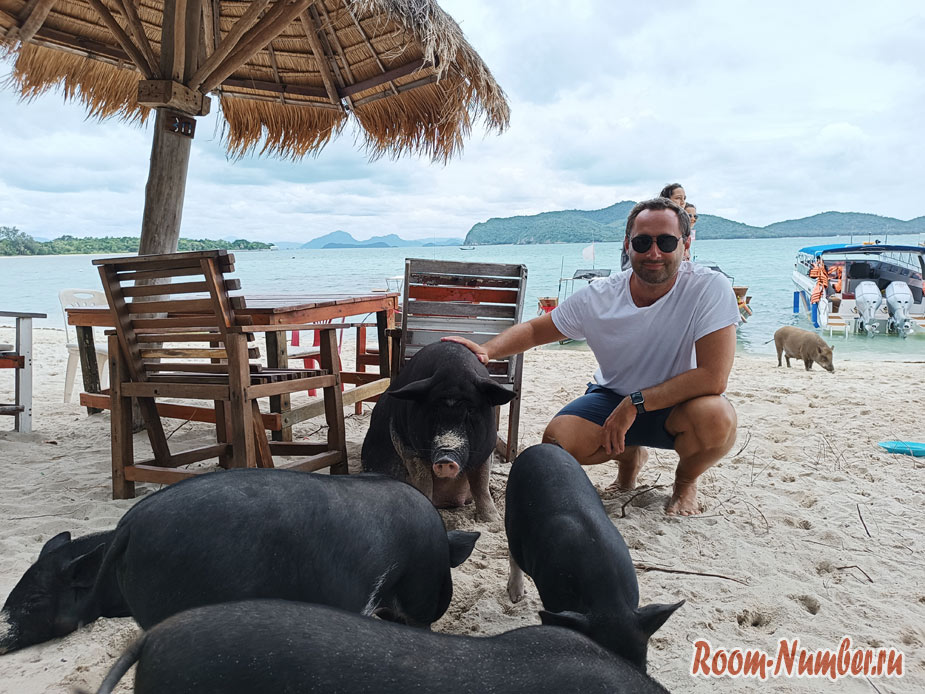 Остров со свиньями в Таиланде возле Самуи: Koh Madsum
