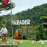 paradise-park-na-samui-12