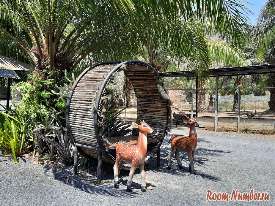 Кафе Intuch на Пхукете с мини-зоопарком, где можно покормить животных