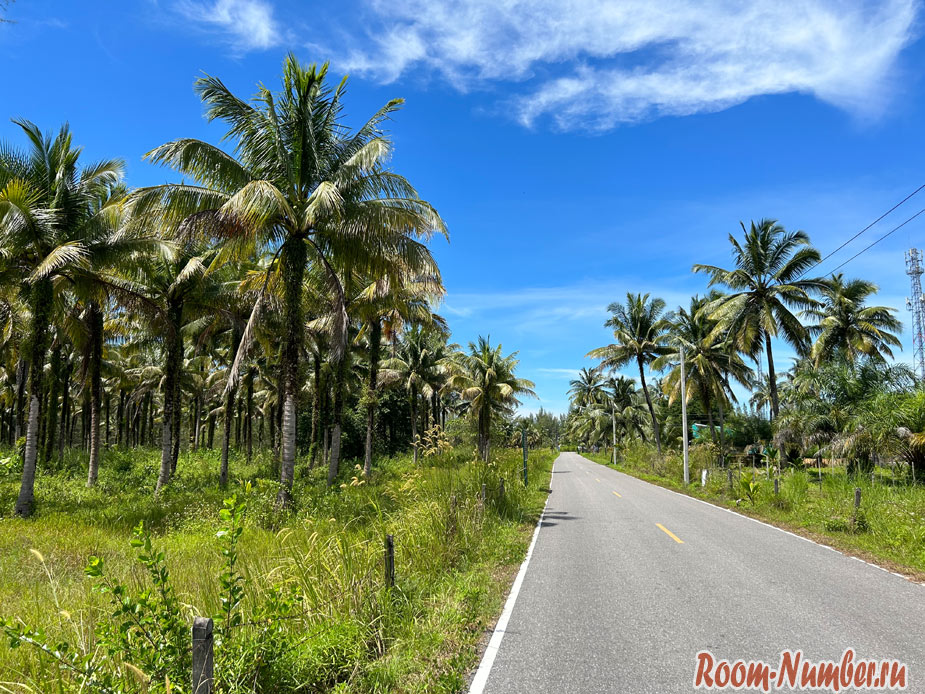coconut-beach-khao-lak-1