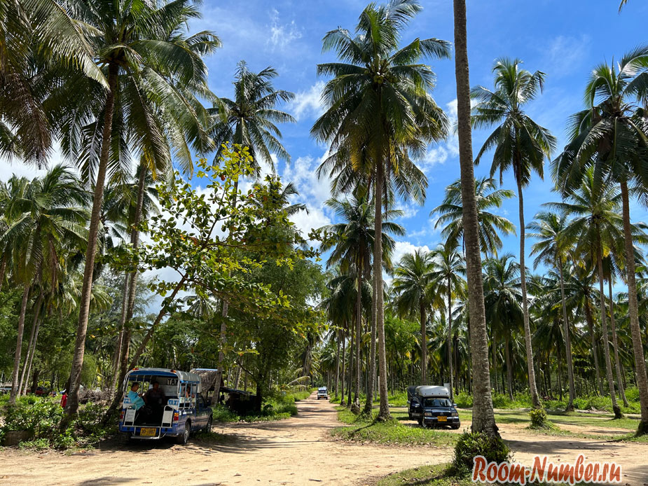 coconut-beach-khao-lak-7