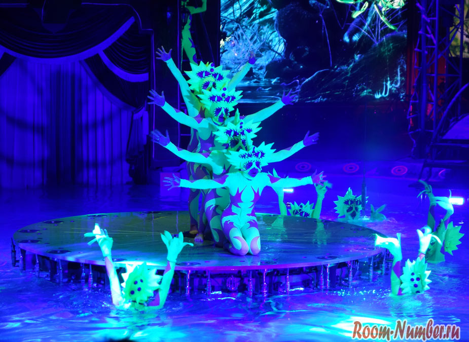 Aqua-circus-phuket-24