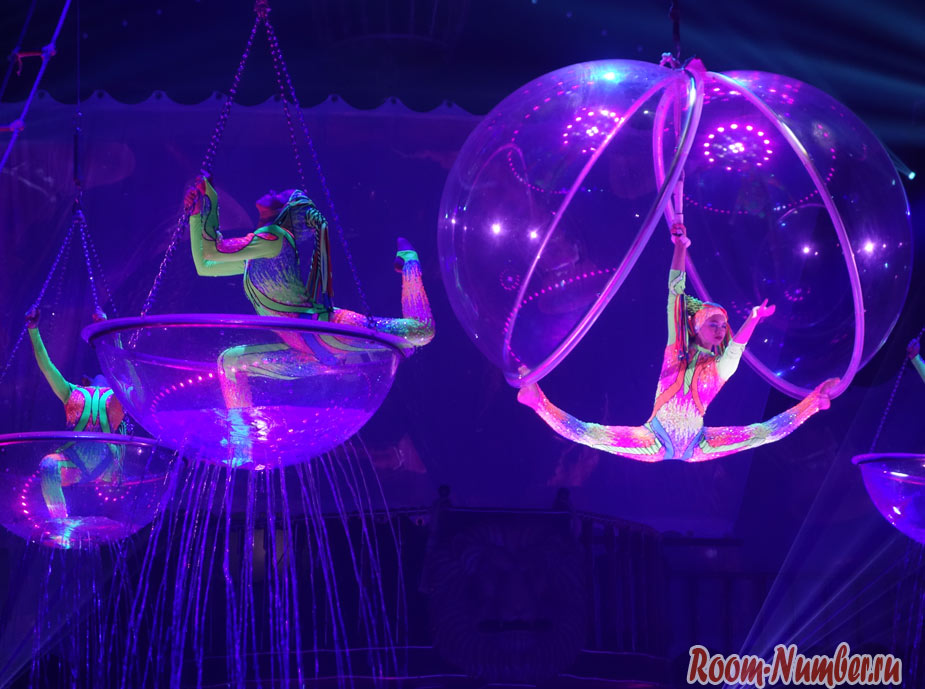 Aqua-circus-phuket-27