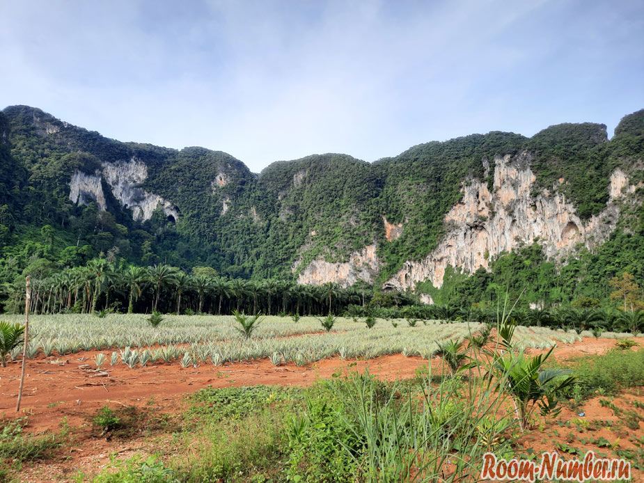 life-in-krabi-2