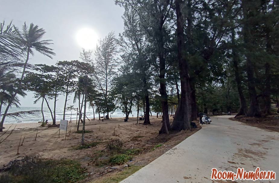 surin-25-12