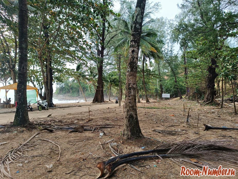 surin-25-16