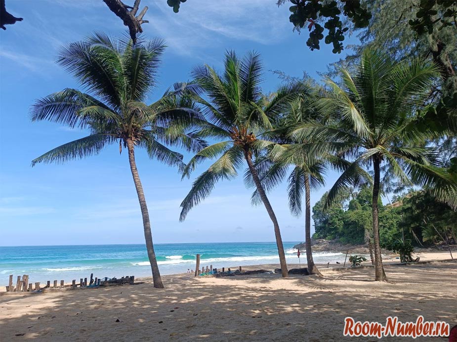 surin-25-7