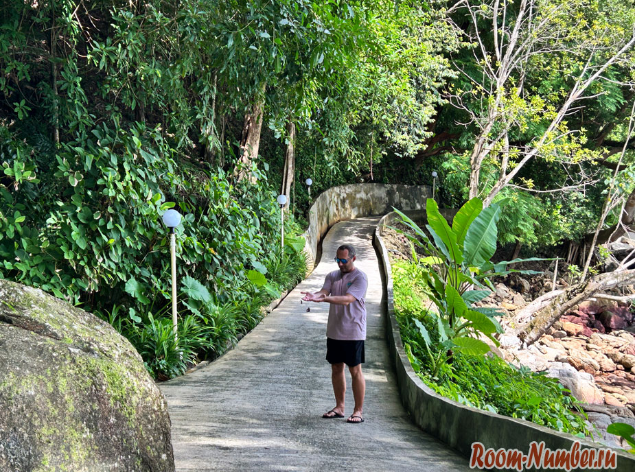 amari-phuket-best-hotel-39