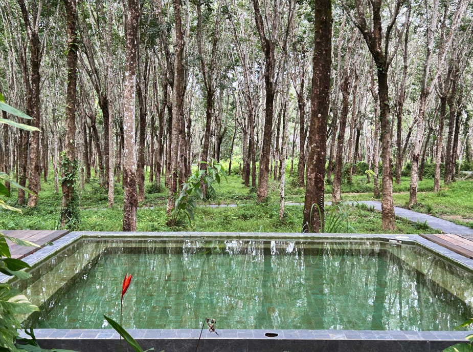 otziv-Timber-Society-phuket-1