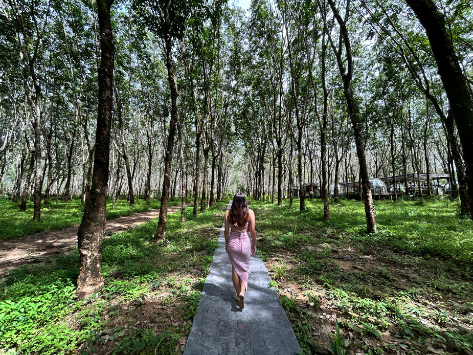 otziv-Timber-Society-phuket-15