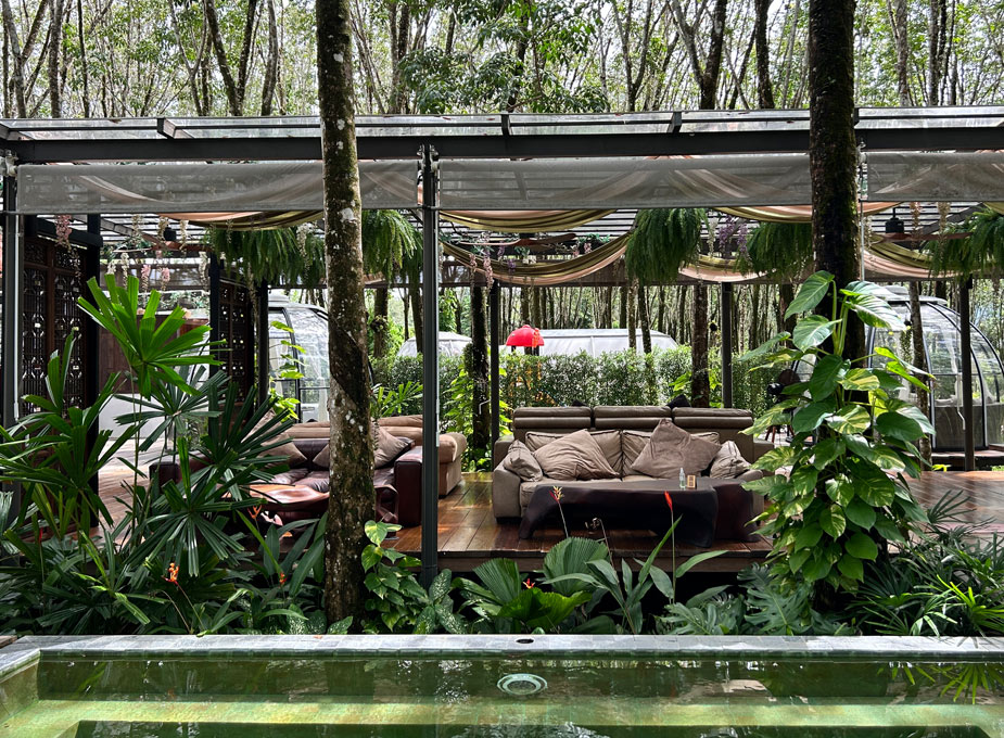 otziv-Timber-Society-phuket-16