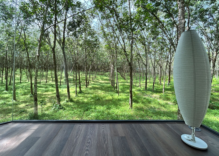 otziv-Timber-Society-phuket-2