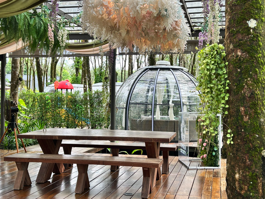 otziv-Timber-Society-phuket-22