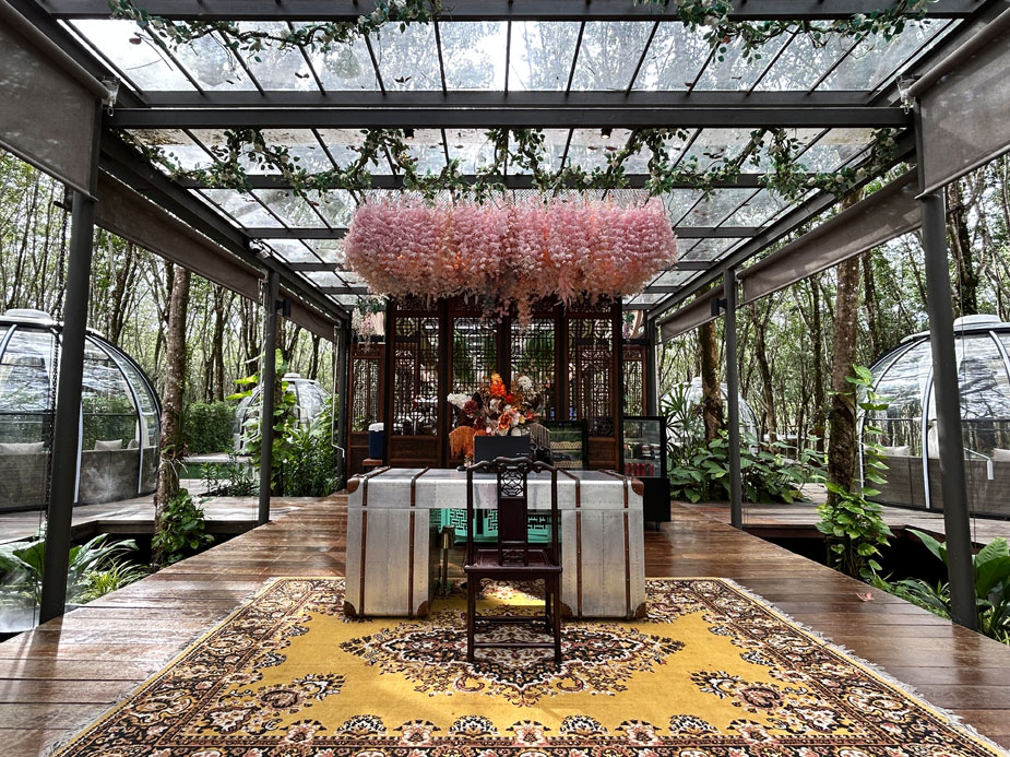 otziv-Timber-Society-phuket-24