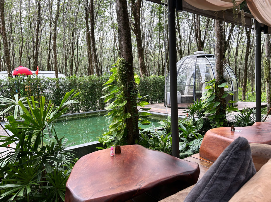 otziv-Timber-Society-phuket-30