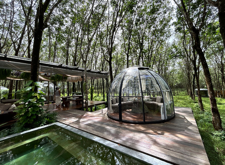 otziv-Timber-Society-phuket-8