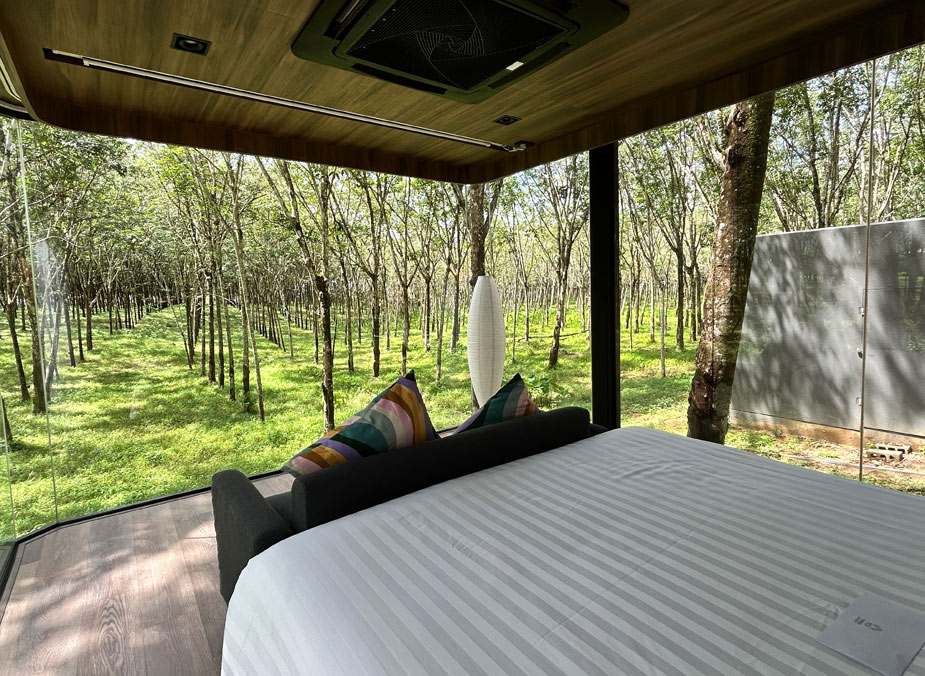 otziv-Timber-Society-phuket-9