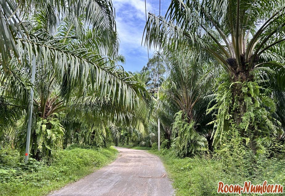phuket-phang-nga-11