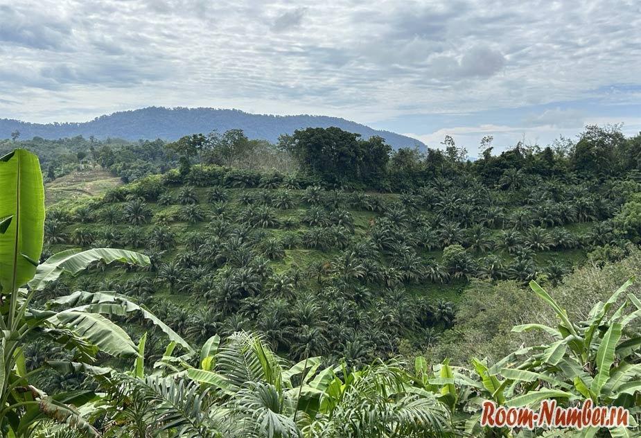 phuket-phang-nga-3