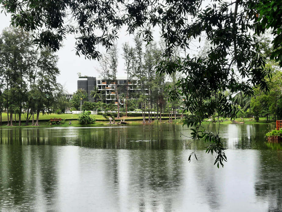 park-and-rayon-laguna-13