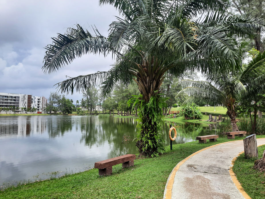 park-and-rayon-laguna-15