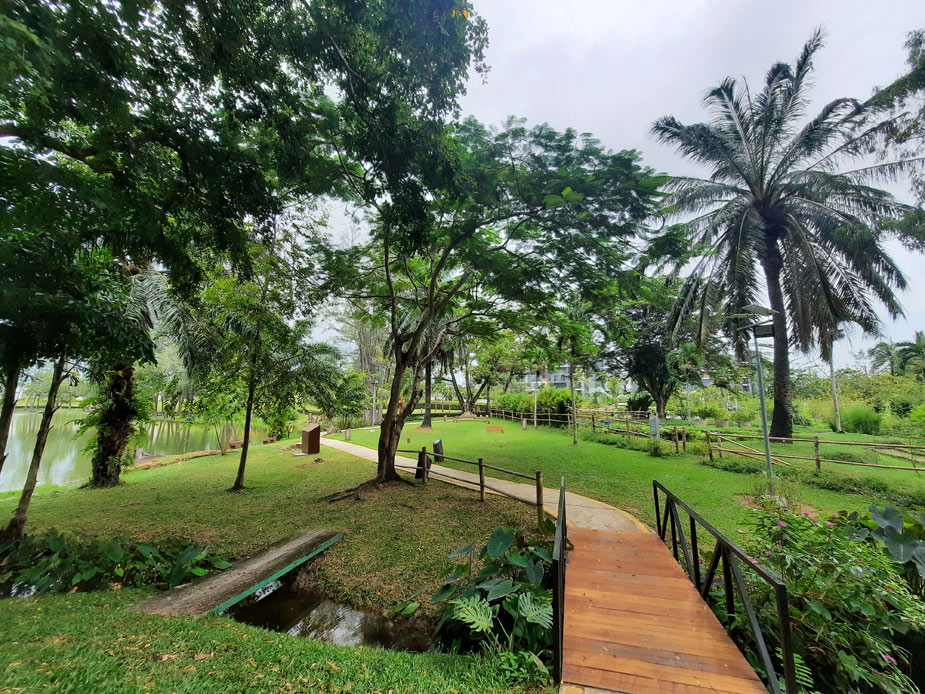 park-and-rayon-laguna-16