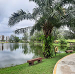 park-and-rayon-laguna-23