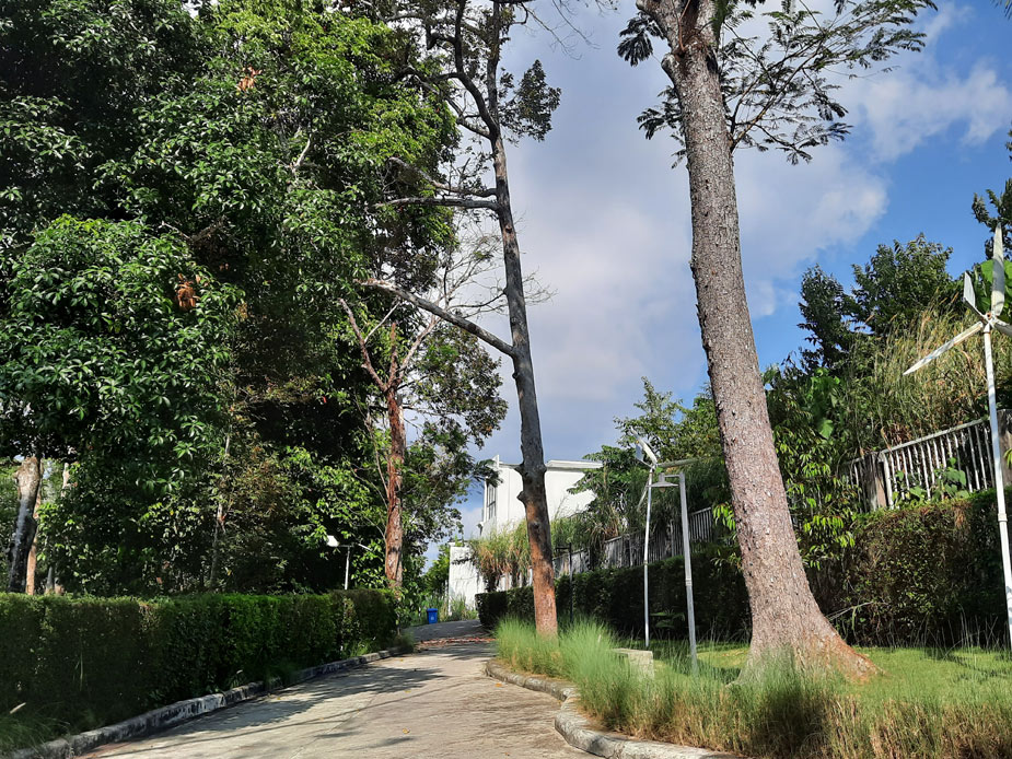 Menara-Hill-cafe-otziv-1