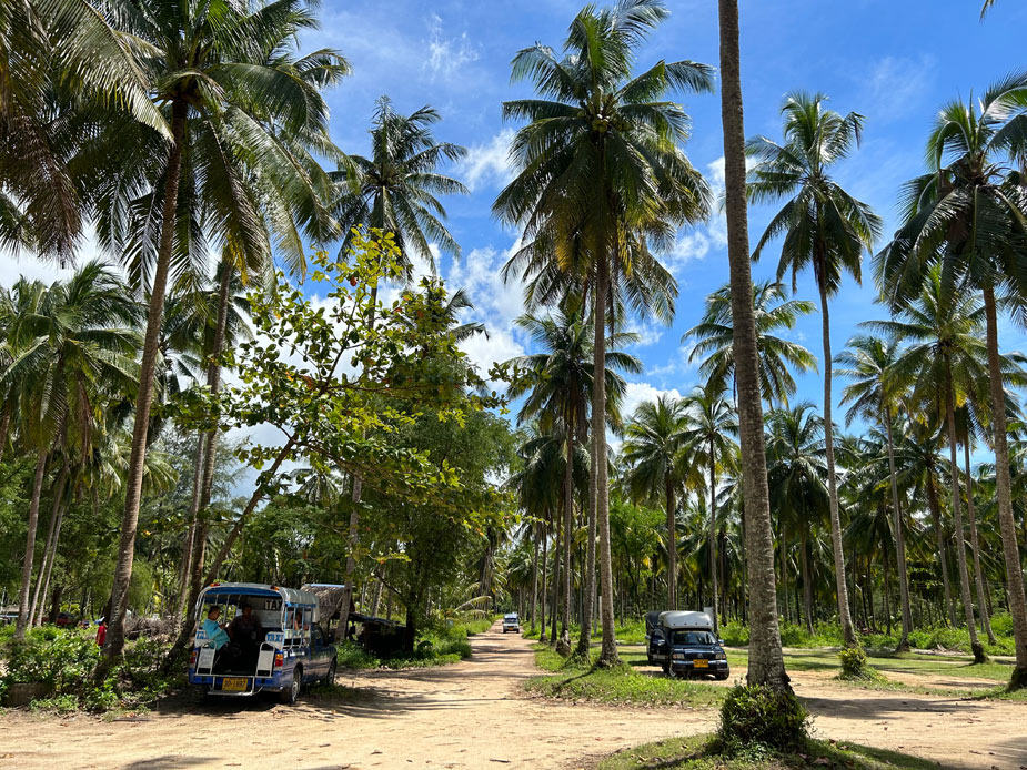 coconut-baech-otziv-10